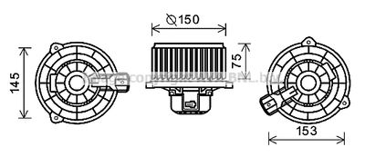 PRASCO KA8243