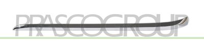 PRASCO BM1061253 PRASCO BM1061253