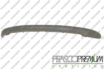 PRASCO PG0091246