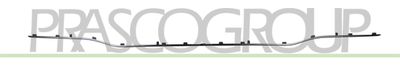 PRASCO ME4441255