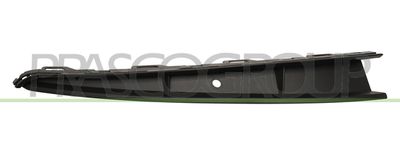 PRASCO VG0251244 PRASCO VG0251244