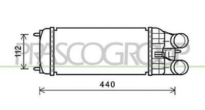 PRASCO CI325N001