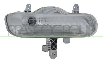 PRASCO FT1244313 PRASCO FT1244313