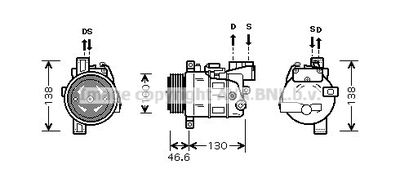 PRASCO BWAK319