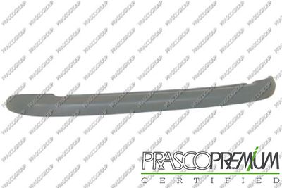 PRASCO PG0091255