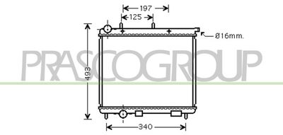 PRASCO CI304R003