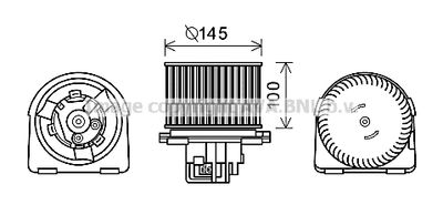 PRASCO OL8619