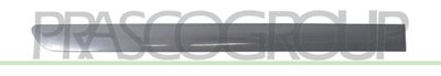 PRASCO VG0401463 PRASCO VG0401463