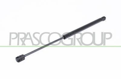 PRASCO SK3209055