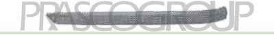 PRASCO BM0181253