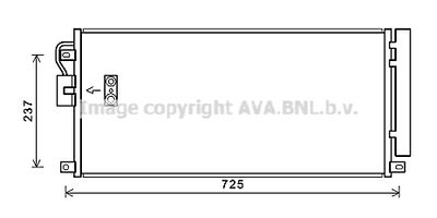 PRASCO OL5638D