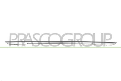 PRASCO BM1281255 PRASCO BM1281255