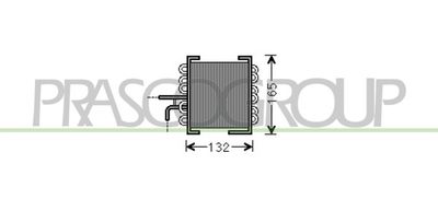 PRASCO ME027R010