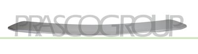 PRASCO PG5041255 PRASCO PG5041255