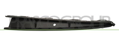 PRASCO VG0251243 PRASCO VG0251243