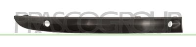 PRASCO BM1201245