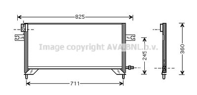 PRASCO DN5204