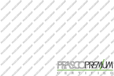 PRASCO VG0533034