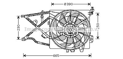 PRASCO OL7505