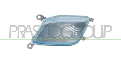 PRASCO DS0134113 PRASCO DS0134113