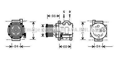 PRASCO AUAK157