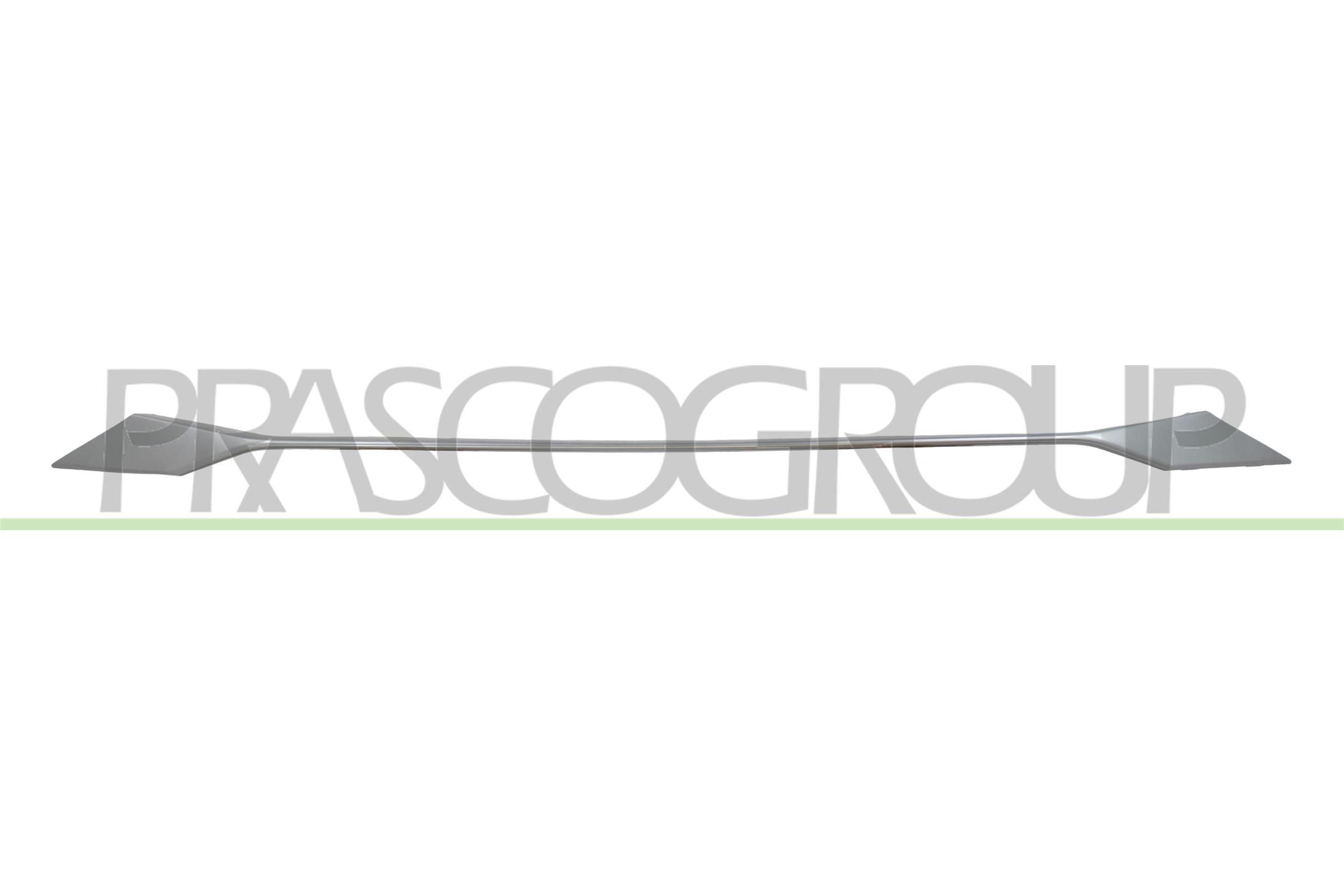 PRASCO PG5252206 PRASCO PG5252206