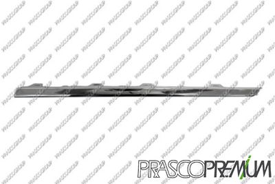 PRASCO VG0541273 PRASCO VG0541273