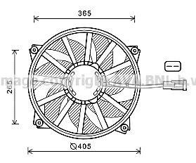 PRASCO CN7552