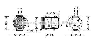 PRASCO ALK010