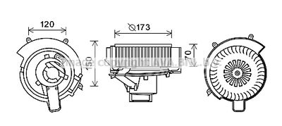 PRASCO OL8637