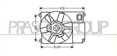 PRASCO CI950F001