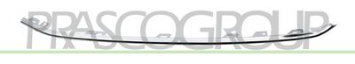 PRASCO VG7211224 PRASCO VG7211224
