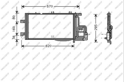 PRASCO OP031C005