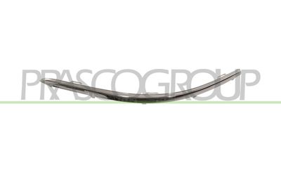 PRASCO VG7171248 PRASCO VG7171248