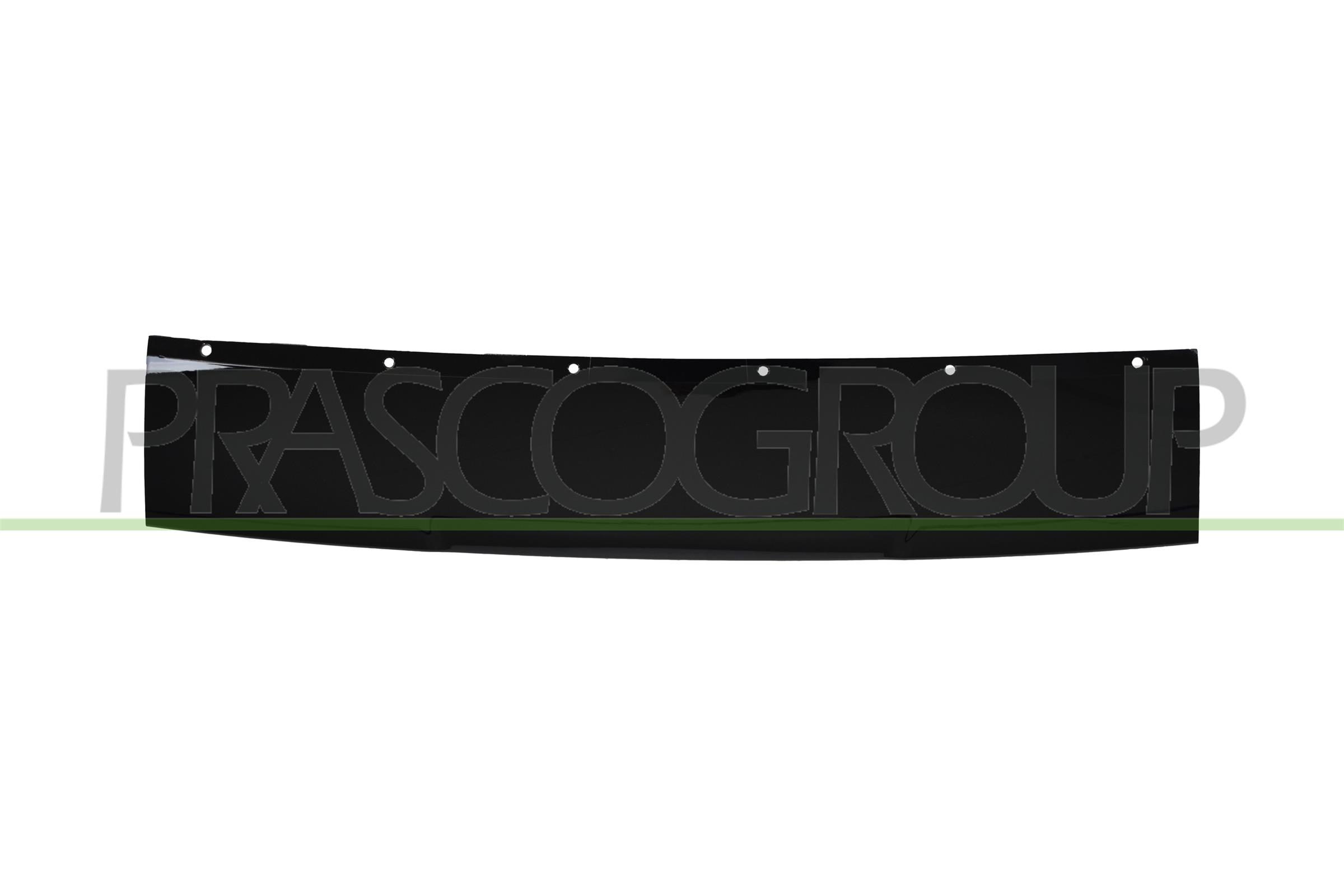 PRASCO BM8091245 PRASCO BM8091245