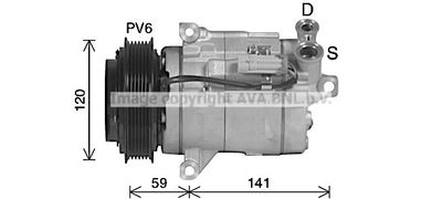 PRASCO CTK079