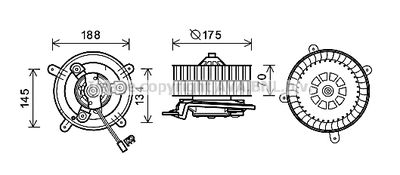 PRASCO MS8621