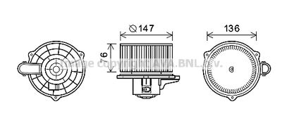 PRASCO KA8248