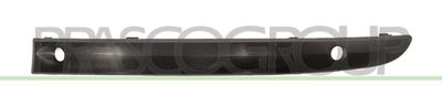 PRASCO BM1201246