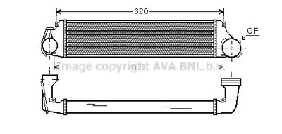 PRASCO BW4282