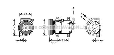 PRASCO DNK286