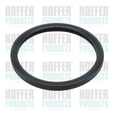 HOFFER 01656