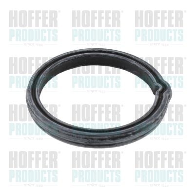 HOFFER 01664