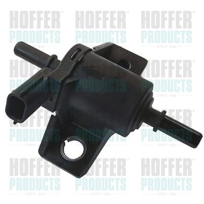 HOFFER 8029326