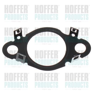 HOFFER 016206