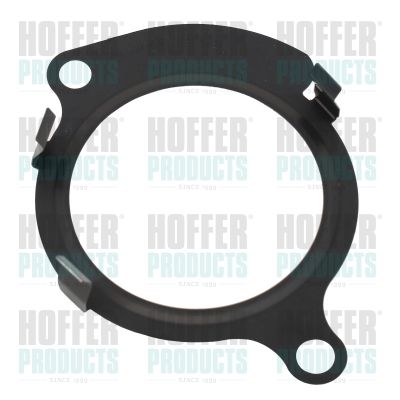 HOFFER 01688