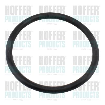 HOFFER 01676