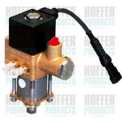 HOFFER H13105