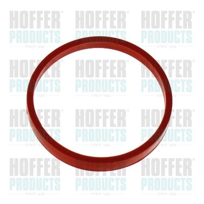 HOFFER 016250