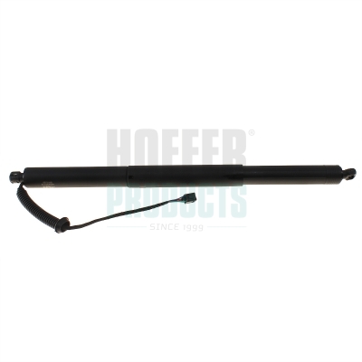 HOFFER H301119